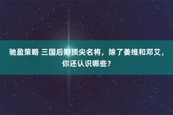 驰盈策略 三国后期顶尖名将，除了姜维和邓艾，你还认识哪些？