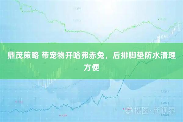 鼎茂策略 带宠物开哈弗赤兔，后排脚垫防水清理方便