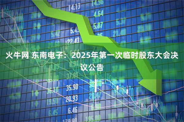 火牛网 东南电子：2025年第一次临时股东大会决议公告