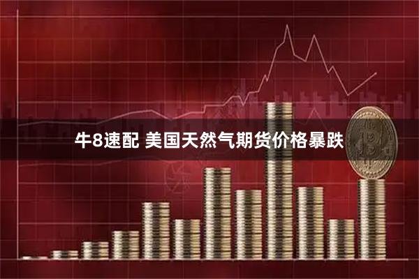 牛8速配 美国天然气期货价格暴跌