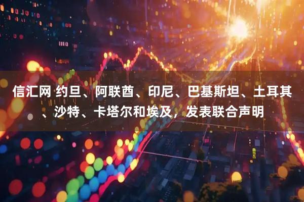 信汇网 约旦、阿联酋、印尼、巴基斯坦、土耳其、沙特、卡塔尔和埃及，发表联合声明